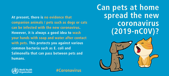 New Coronavirus-Medical Treatment Process