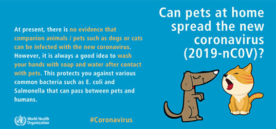 New Coronavirus-Medical Treatment Process